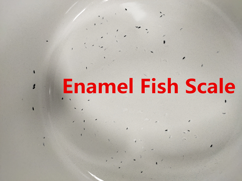 Enamel Fish Scale