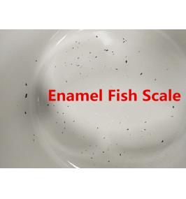 Ways to Prevent the Enamel Fish Scale
